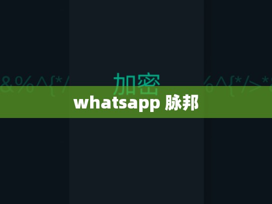 whatsapp 脉邦