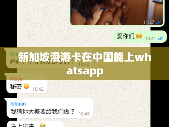 新加坡漫游卡在中国能上whatsapp