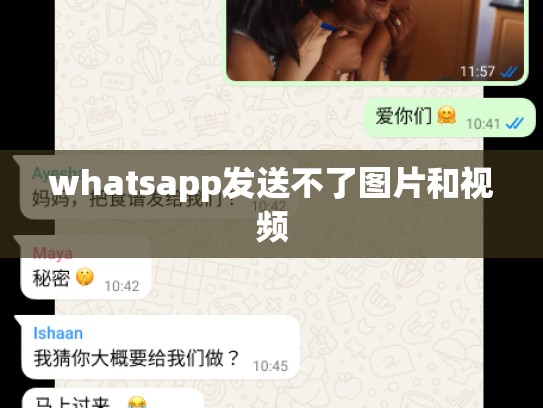 whatsapp发送不了图片和视频