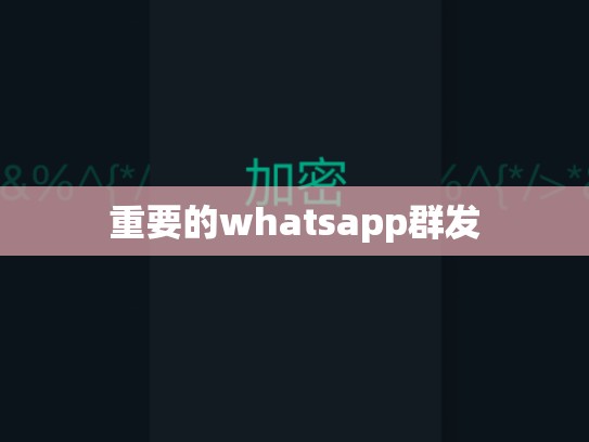重要的whatsapp群发