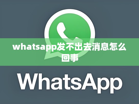 whatsapp发不出去消息怎么回事