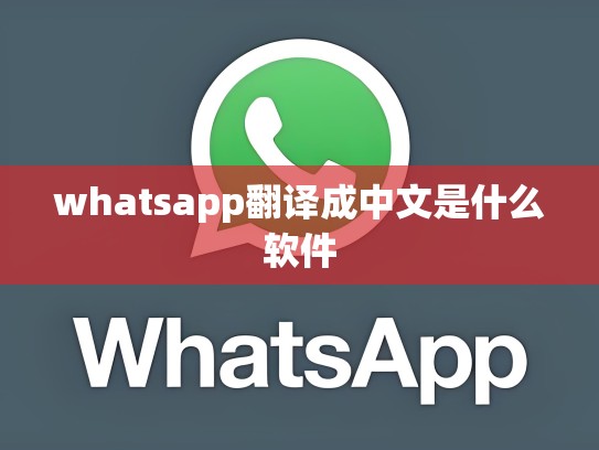 whatsapp翻译成中文是什么软件