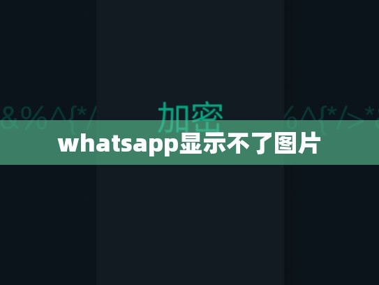 whatsapp显示不了图片