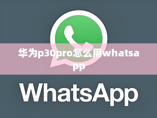 华为p30pro怎么用whatsapp