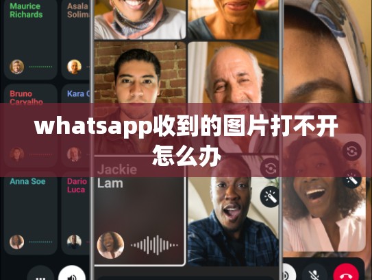 whatsapp收到的图片打不开怎么办