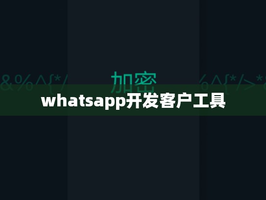 whatsapp开发客户工具
