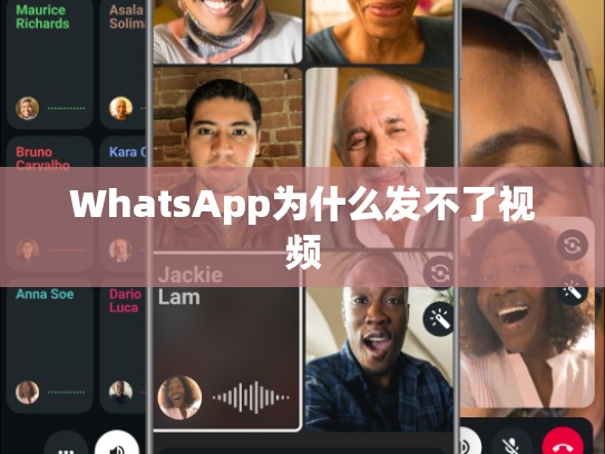 WhatsApp为什么发不了视频