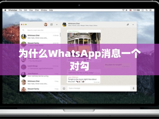 为什么WhatsApp消息一个对勾