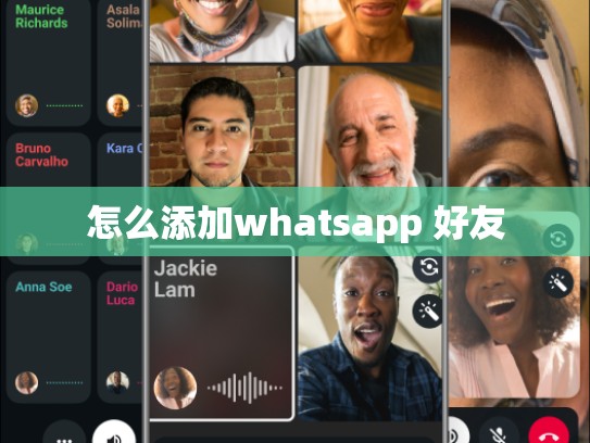 怎么添加whatsapp 好友