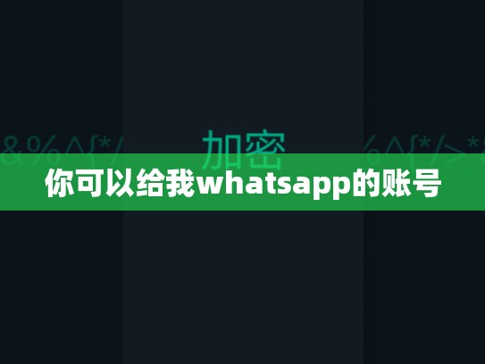你可以给我whatsapp的账号