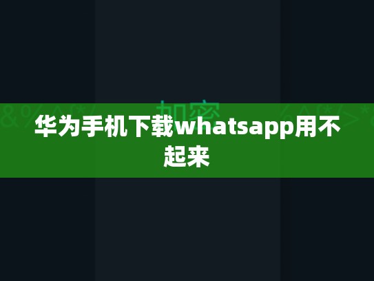 华为手机下载whatsapp用不起来