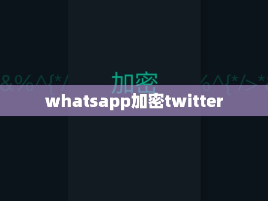 whatsapp加密twitter