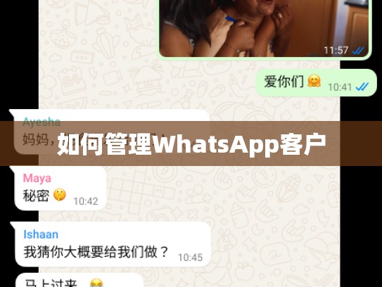 如何管理WhatsApp客户