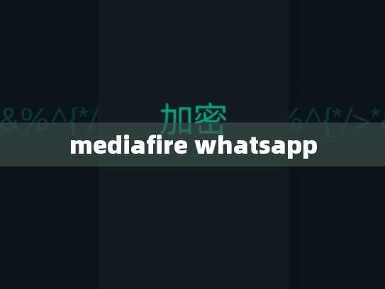 mediafire whatsapp