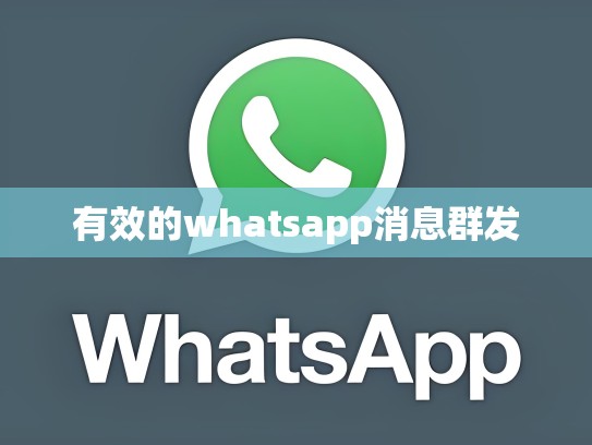 有效的whatsapp消息群发