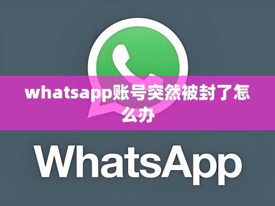 whatsapp账号突然被封了怎么办