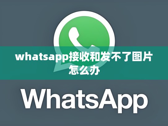 whatsapp接收和发不了图片怎么办