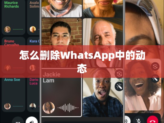 怎么删除WhatsApp中的动态