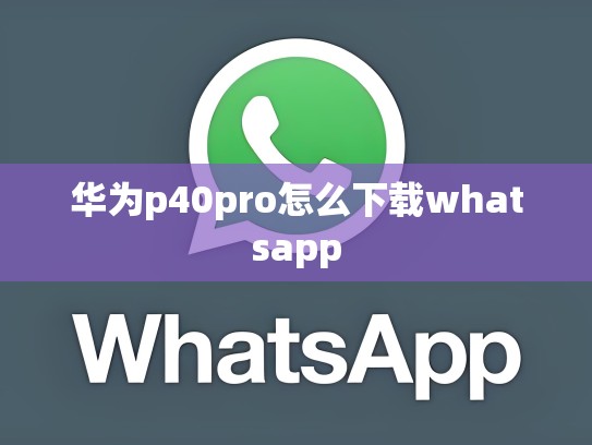 华为p40pro怎么下载whatsapp
