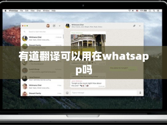有道翻译可以用在whatsapp吗