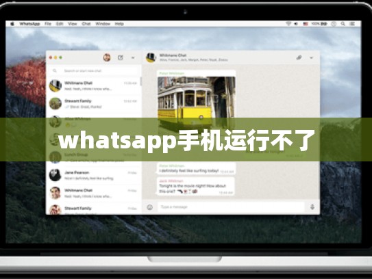 whatsapp手机运行不了