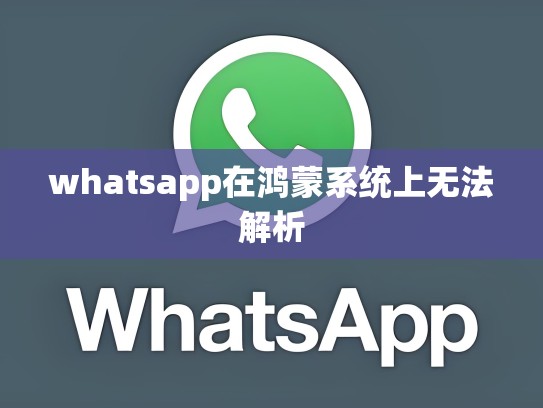 whatsapp在鸿蒙系统上无法解析