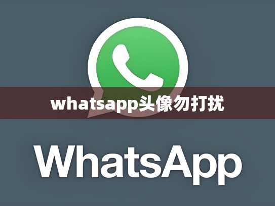 whatsapp头像勿打扰
