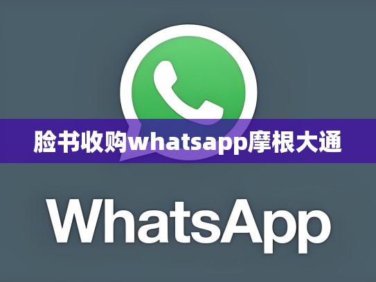 脸书收购whatsapp摩根大通