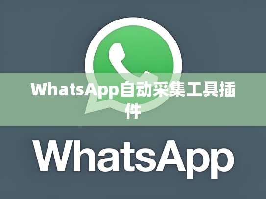 WhatsApp自动采集工具插件