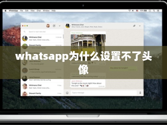 whatsapp为什么设置不了头像