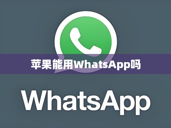 苹果能用WhatsApp吗