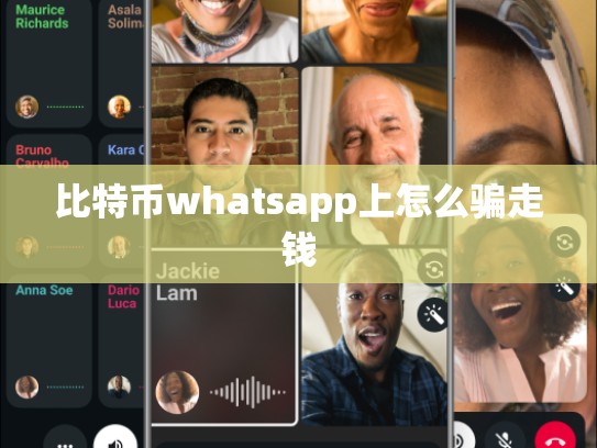 比特币whatsapp上怎么骗走钱