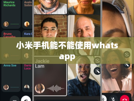 小米手机能不能使用whatsapp