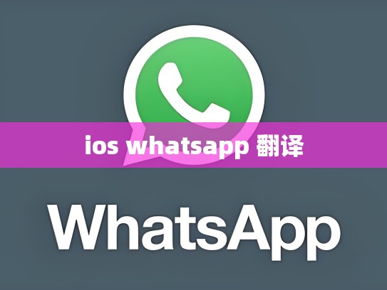 ios whatsapp 翻译