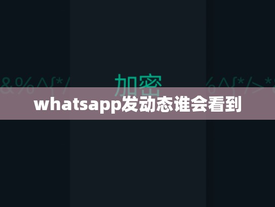 whatsapp发动态谁会看到