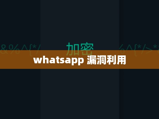 whatsapp 漏洞利用