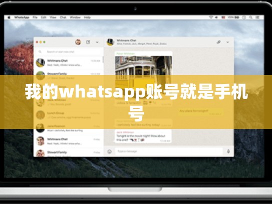 我的whatsapp账号就是手机号