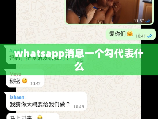 whatsapp消息一个勾代表什么