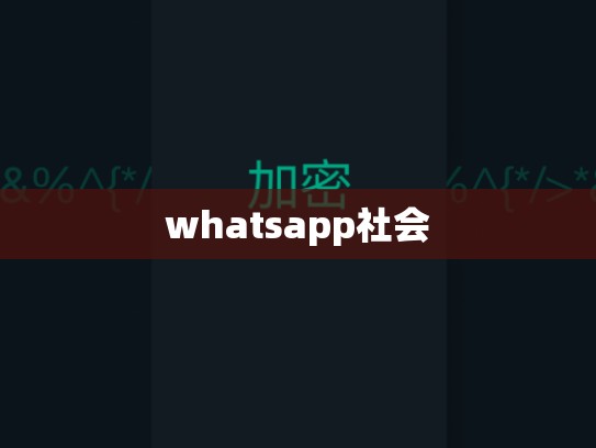 whatsapp社会