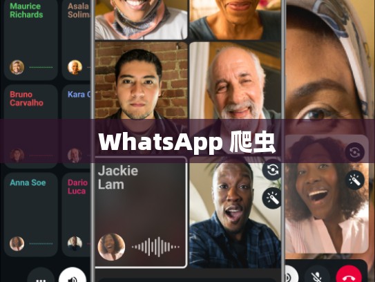 WhatsApp 爬虫
