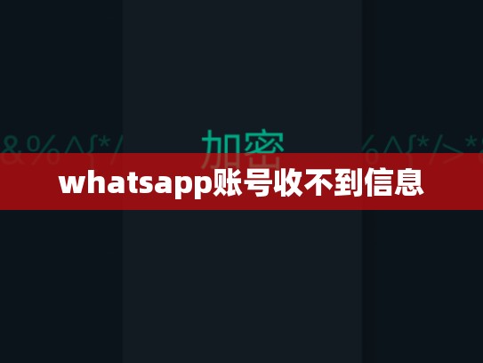 whatsapp账号收不到信息