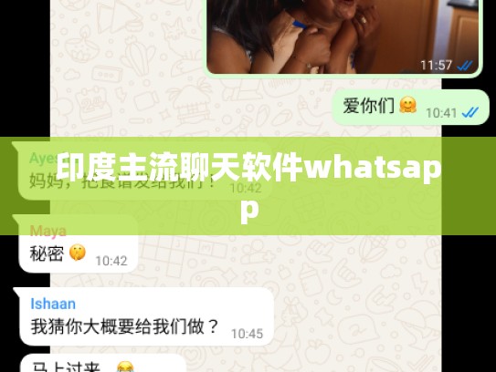 印度主流聊天软件whatsapp