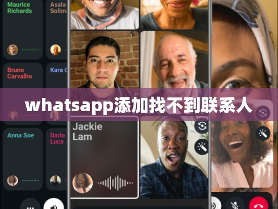 whatsapp添加找不到联系人