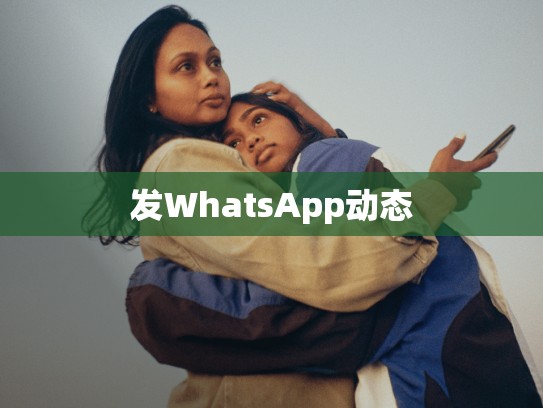 发WhatsApp动态