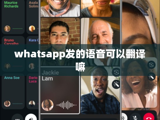 whatsapp发的语音可以翻译嘛