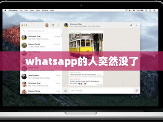 whatsapp的人突然没了