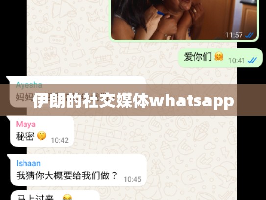 伊朗的社交媒体whatsapp