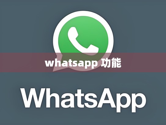 whatsapp 功能