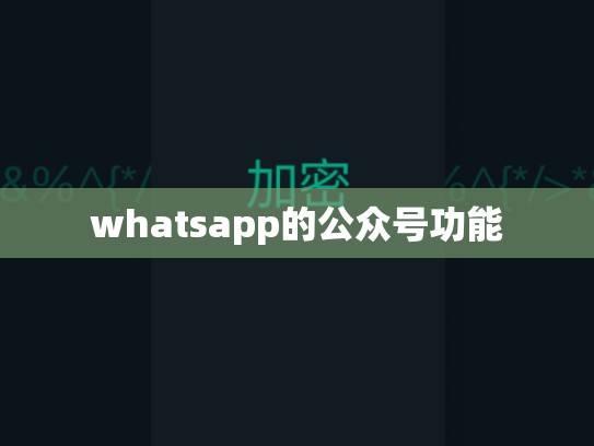 whatsapp的公众号功能
