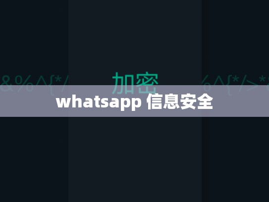whatsapp 信息安全